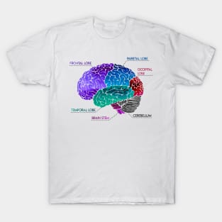 Brain Parts T-Shirt